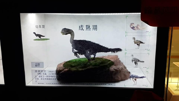 恐龍廳透明屏展柜互動(dòng)系統(tǒng)