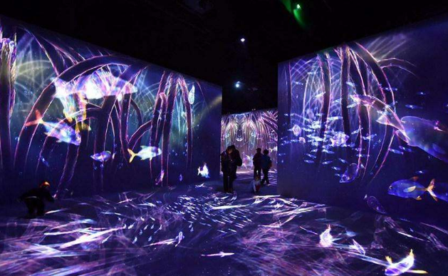 展廳創(chuàng)意多媒體展示 展廳創(chuàng)意多媒體展示