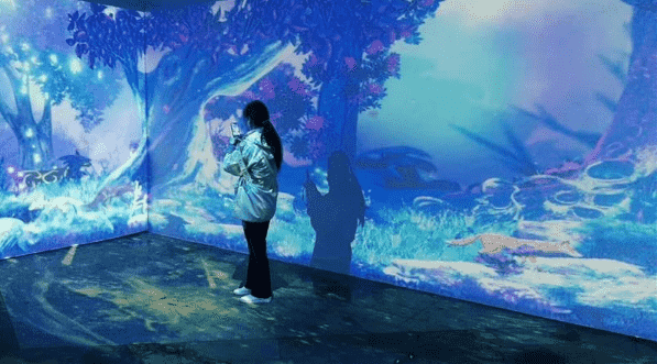 互動(dòng)多媒體