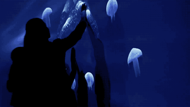 沉浸式投影互動(dòng)體驗(yàn)