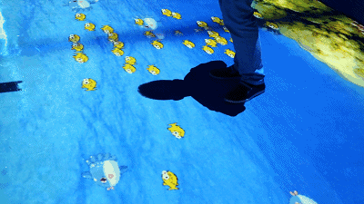 地面互動(dòng)投影