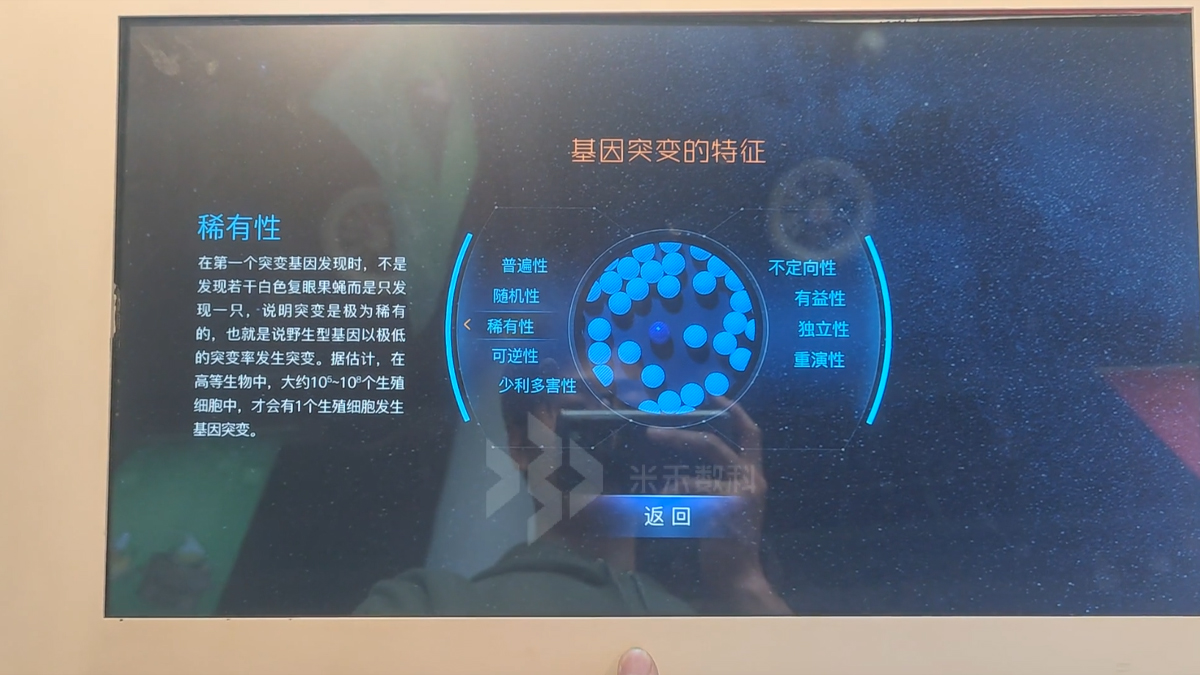 展廳查詢互動(dòng)軟件定制